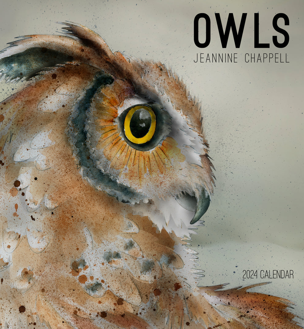 Owls: Jeannine Chappell 2024 Wall Calendar