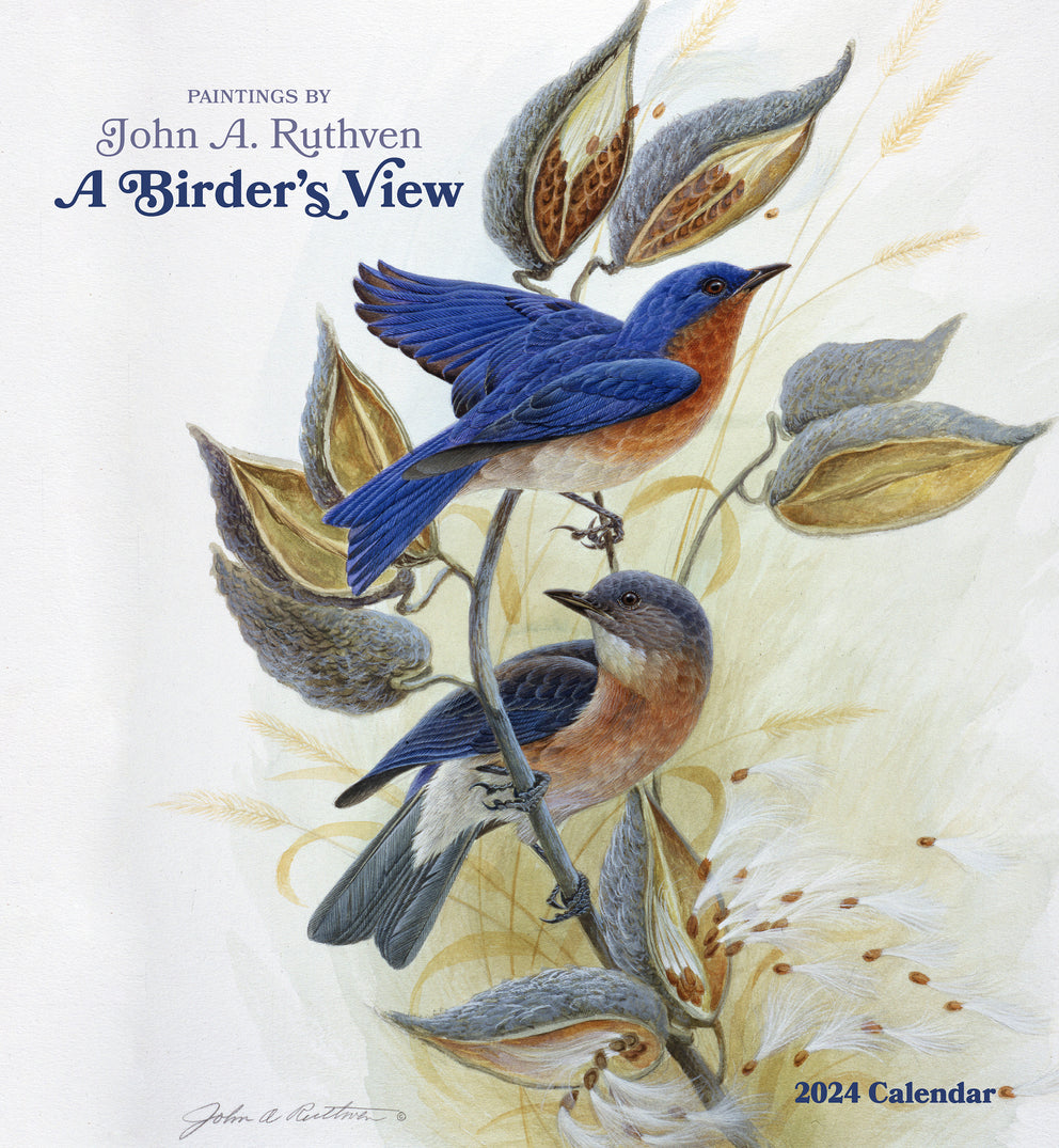 A Birder's View: Paintings by John A. Ruthven 2024 Wall Calendar