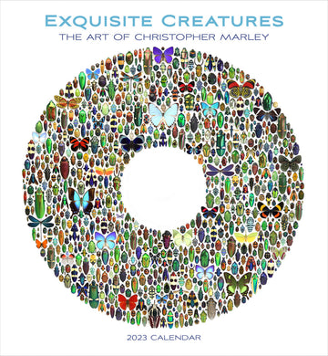 Exquisite Creatures: The Art of Christopher Marley 2023 Wall Calendar